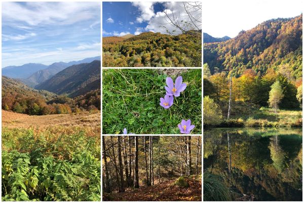 Magnifique automne dans les Pyrénées.