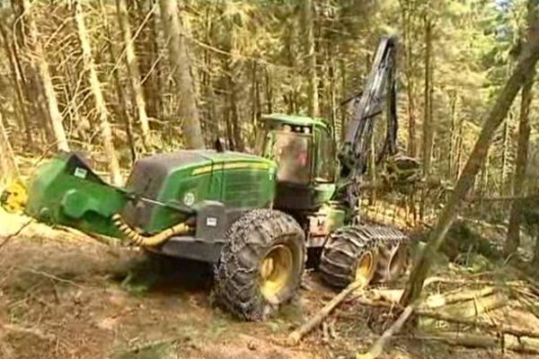 Elle coupe , elle élague et débite  les troncs dans des parcelles difficiles d'accès