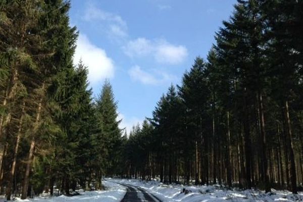 Avec le redoux, la neige commence à fondre dans le massif du Morvan.