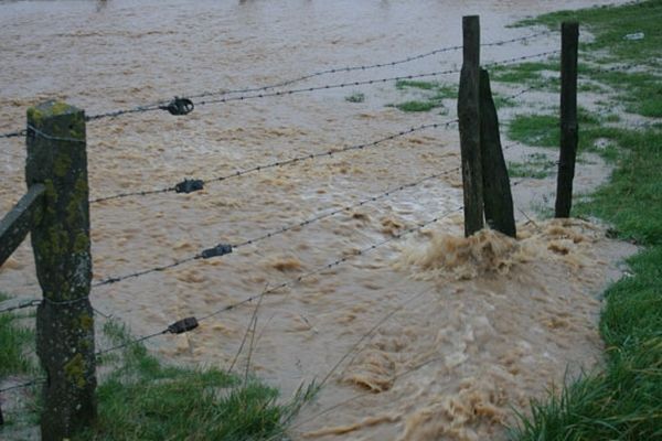 Un champ inondé à Saussezemare en Caux près d'Etretat 