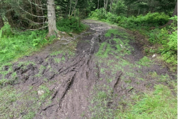 Les organisateurs du E-Tour du Mont-Blanc, condamnés à 65 000 euros d’amende pour avoir organisé une course de VTT dans une réserve naturelle de Haute-Savoie, ont fait appel de la décision.