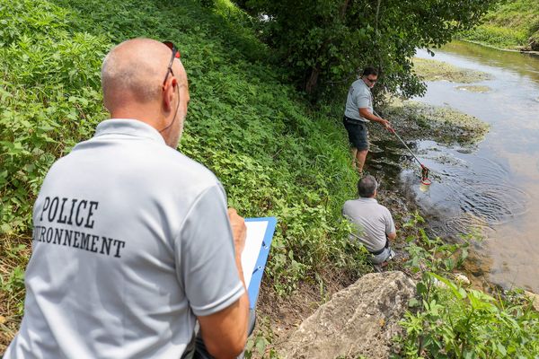 Le 8 juillet 2023, à Eysines et Blanquefort, des analyses ont été effectuées dans leau de la Jalle suite à une très forte suspicion de présence de cyanobactéries.