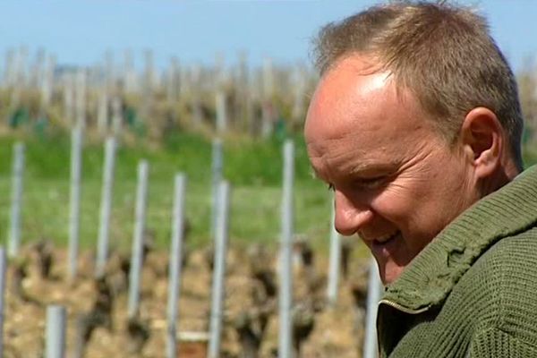 Alexis Jeannot, viticulteur nivernais, inspecte ses vignes touchées par le gel.