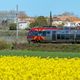 Un TER entre Béziers et Narbonne, une ligne qui a vu sa fréquentation augmenter de 100% depuis 2019