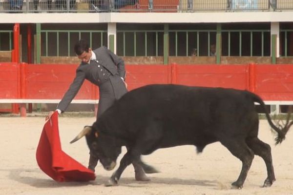 Thomas Joubert dans son œuvre. La question est : pourquoi ce torero est-il si rarement engagé?