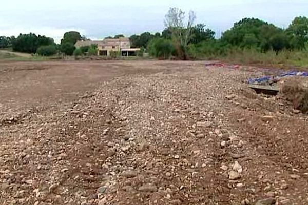 Brignac (Hérault) - une vigne, 3 semaines après les inondations - 5 octobre 2015.