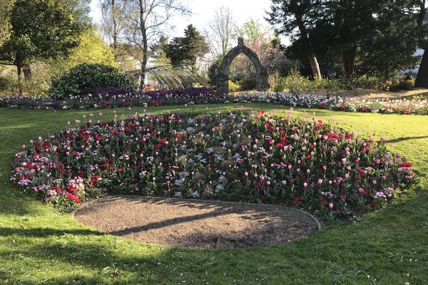 Le Jardin des Plantes est propice à la promenade, à la contemplation, mais aussi à la réflexion avec le quizz proposé tout l'été