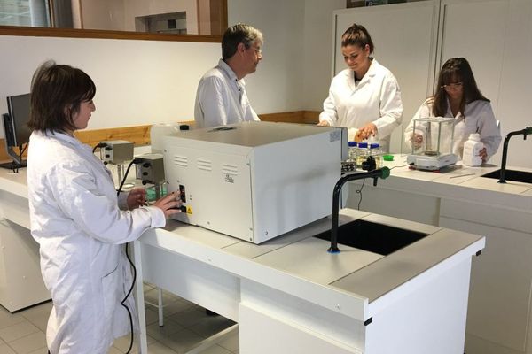 Trois des jeunes étudiantes du BTS biotechnologies en alternance de Saint-Malo, avec un de leur enseignant issu du monde professionnel