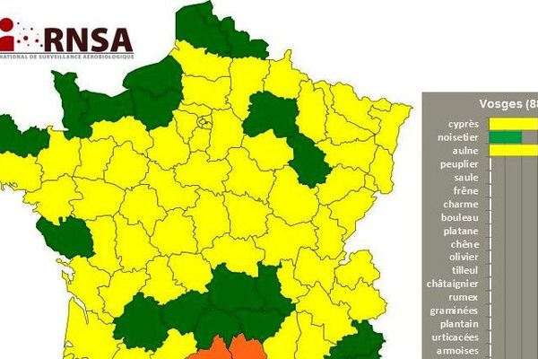 En Lorraine, et notamment dans les Vosges, les allergies au cyprès, aulnes et dans une moindre mesure aux noisetiers ont débuté.