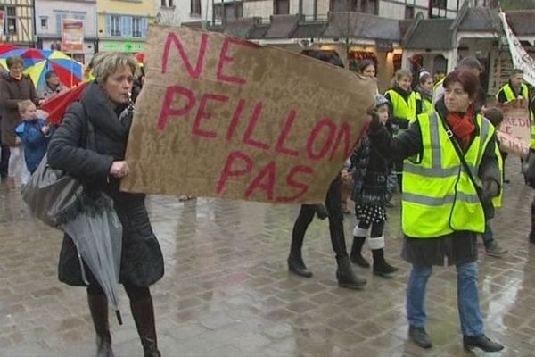 Une centaine de personnes a manifesté ce sanedi 8 février 2014 à Troyes (Aube)