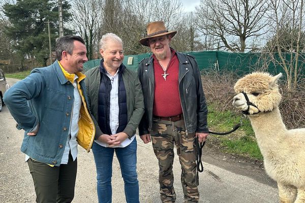 Cet éleveur de Lamas (à droite) propose des balades au rythme des musiques de Johnny Hallyday.