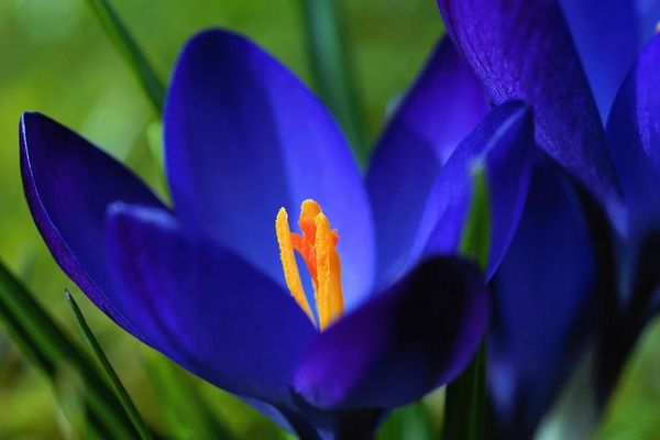 Le printemps s'installe sur la région