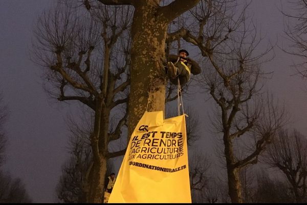 Des agriculteurs de la coordination rurale s'accrochent dans des arbres face à la préfecture de Dordogne