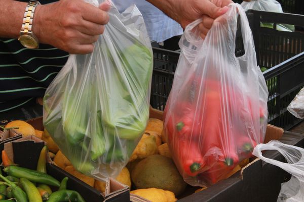 Les sacs plastique fins distribués aux caisses des commerces sont interdits depuis le 1er juillet 2016