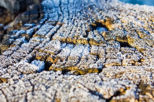 La région sera concernée par de nombreuses gelées matinales