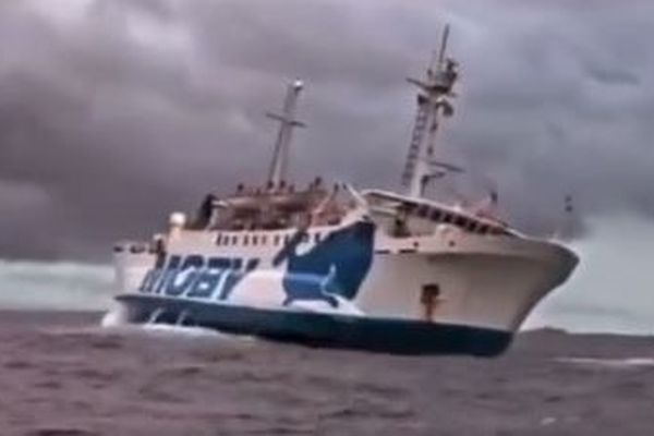 À la suite d'un problème technique, le bateau de la Moby Lines est resté immobilisé en mer avant de regagner le port de Santa Teresa.