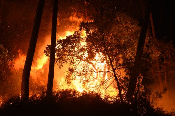 Incendie dans la forêt de Chiberta à Anglet, dans le sud-ouest de la France, le 30 juillet 2020, qui a détruit au moins 40 hectares de pins