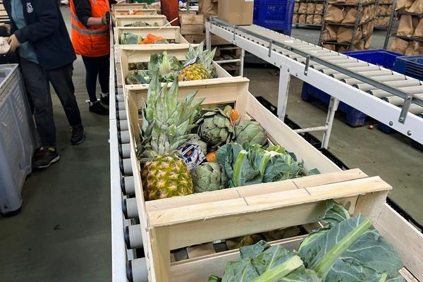 Finisterestes 29, une coopérative qui vend à bas prix des fruits et légumes invendus, est en plein développement