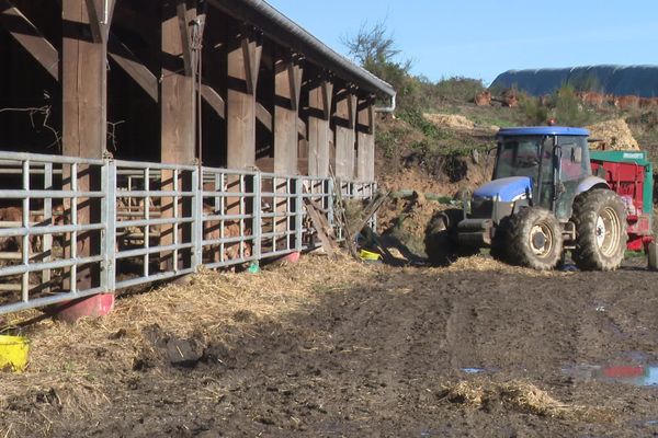 Recensement agricole 2020  un quart d'exploitations en moins en 10 ans en Limousin