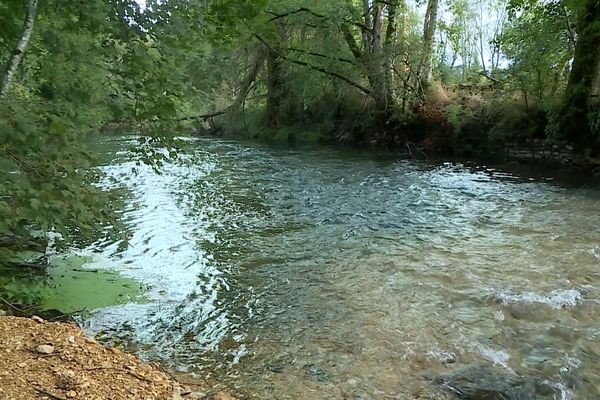 La rivière du Neuvon est polluée depuis trois semaines.