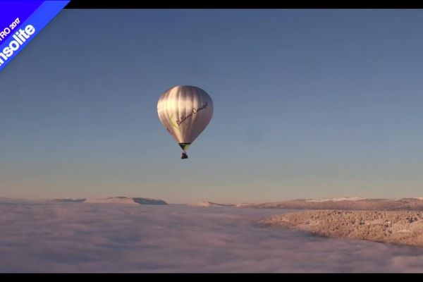 Revivez les histoires les plus insolites de 2017 avec France 3 Côte d'Azur. 