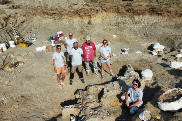 L'équipe nantaise du Muséum d'Histoire Naturelle sur le site de fouilles paléontologiques, dans la Wyoming (USA).