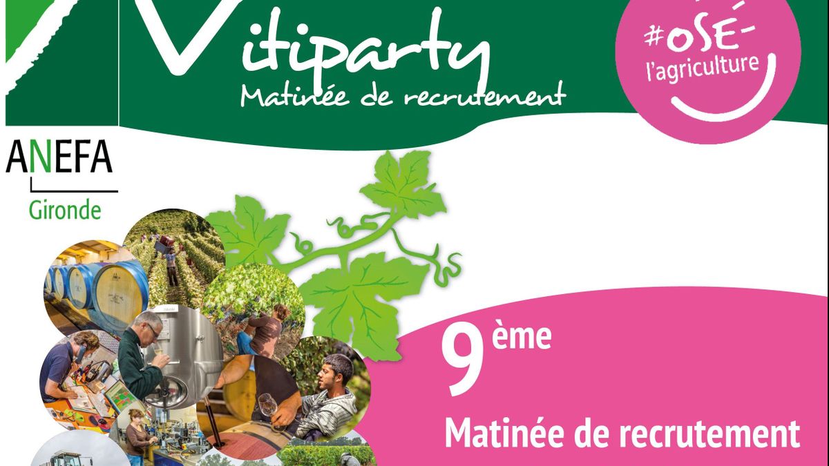 La Viticulture Recrute Plus De 1000 Emplois Sont A Pourvoir Dans Le Bordelais O Boulot Samedi A 20h35 Sur Noa