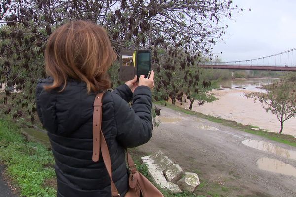 Pyrénées-Orientales - L'Agly à nouveau en eau après les pluies de la fin octobre. Le fleuve côtier catalan était à sec depuis des mois - 29 octobre 2024.