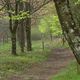 Dans les monts de Guéret, la forêt de Chabrières est un site idéal pour la pratique du VTT (ici en avril 2024).