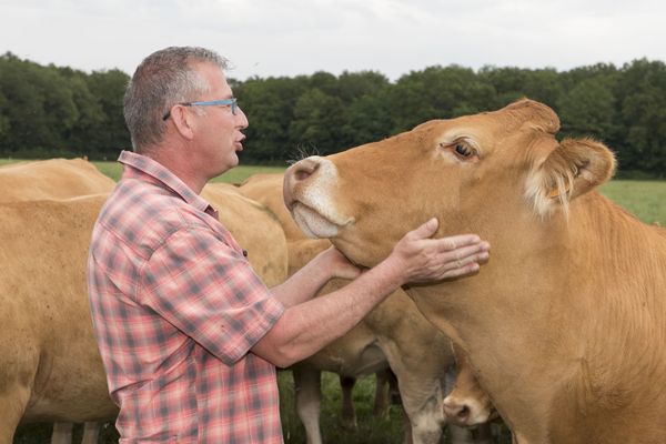 Bruno Guilloteau, éleveur à Marnay, dans la Vienne, avec Lougère, sa vache de race limousine, âgée de 5 ans. Il espérait la présenter au concours général agricole du Salon de l'Agriculture de Paris. 