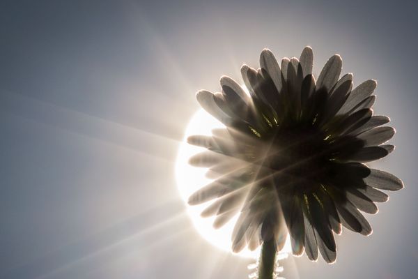 Après un début de semaine perturbé, la journée de mardi 24 avril sera marquée par un retour franc et généreux du soleil sur l’ensemble de la région Auvergne-Rhône-Alpes. 