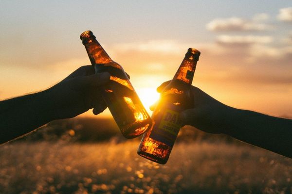 La bière plus chère à cause du déréglement climatique 