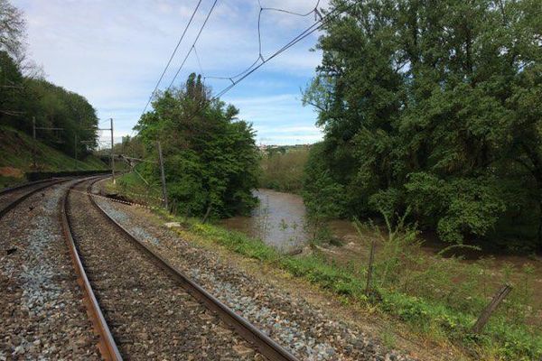 En 2019, SNCF Réseau a fait détruire six hectars linéaires de haies en pleine période de nidification.