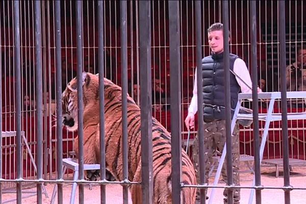 Le grand Cirque de Saint Pétersbourg a organisé à Nancy, samedi 24 mars 2018 de 11h à 12h, des répétitions commentées de dressage d’animaux, pour montrer que ceux-ci n'étaient pas maltraités. Le directeur général du zoo d’Amnéville, Michel Louis, participait à l'événement.