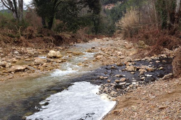 C'est vendredi 17 janvier qu'un citoyen a alerté d'un dépôt noir recouvrant le fond de la rivière varoise.