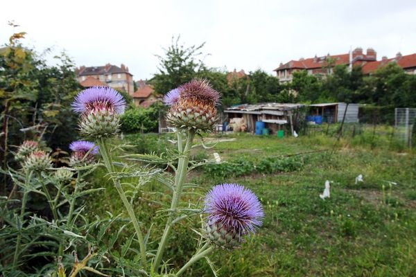 Classée en 1976, la cité-jardin de Stains a bénéficié d'une importante campagne de rénovation en 2006.