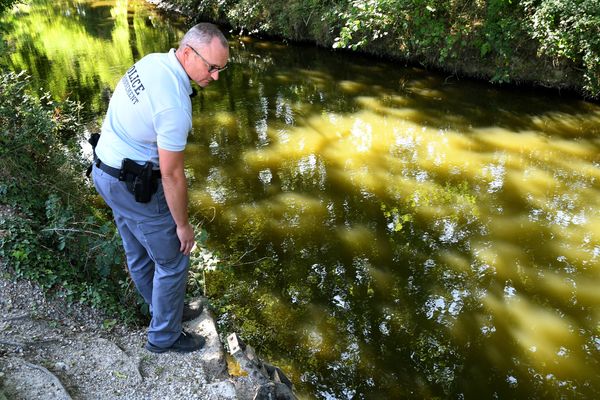 Un agent de l'Ofice Nationale de la Biodiversité contrôle le niveau d'eau d'une rivière à Montluel. Des poissons en souffrance ont été repérés.