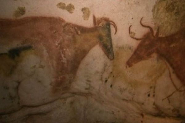 Peintures sur la grotte de Lascaux