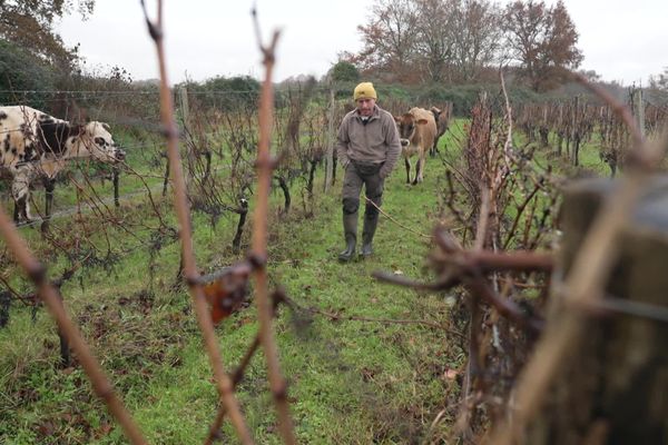 Les agriculteurs sont pessimistes face à l'instabilité gouvernementale.