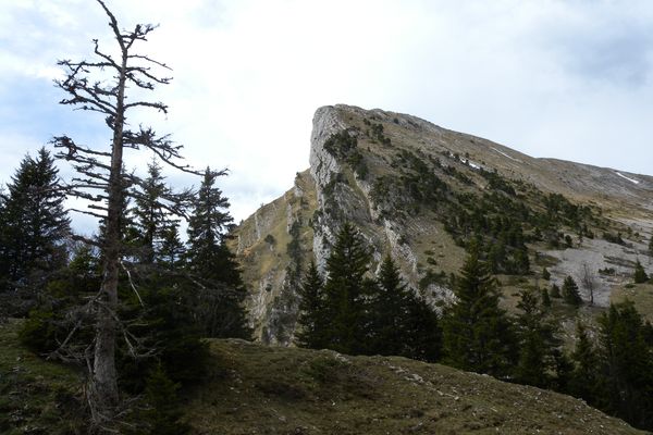 Une traileuse de 40 ans a disparu dans le secteur de la Grande Sure, dans le massif de la Chartreuse, et n'a pas été vue depuis le samedi 1er juin.