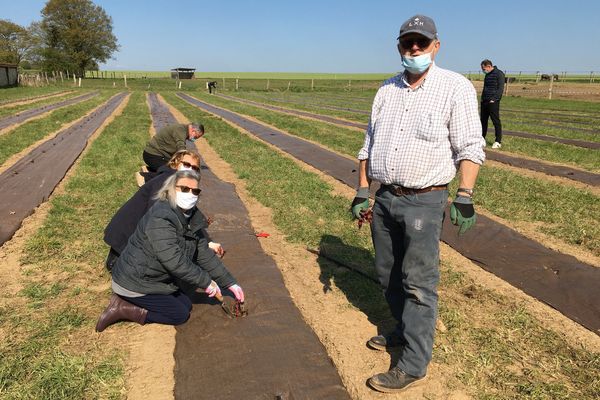 Des habitants en pleine plantation de leurs pieds de vigne.