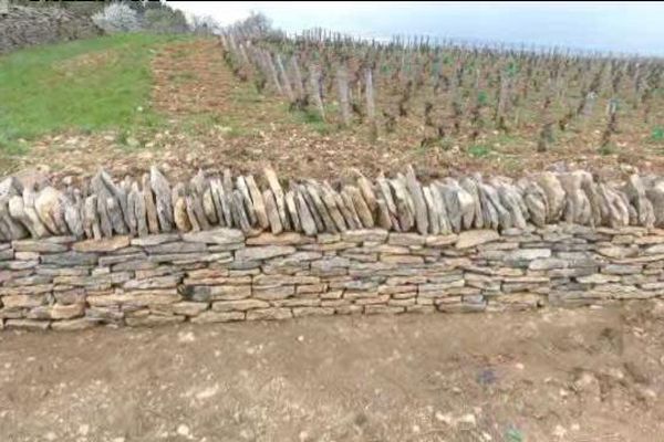 Ces murs en pierre sèche, qui servent à la délimitation des parcelles de vignes, font partie des Climats de Bourgogne, classés au patrimoine mondial de l'UNESCO.