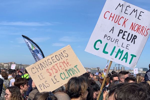 "Même Chuck Norris a peur pour le Climat", est-il écrit sur la pancarte de l'un des manifestants à Bordeaux, ce samedi 16 mars 2019. 