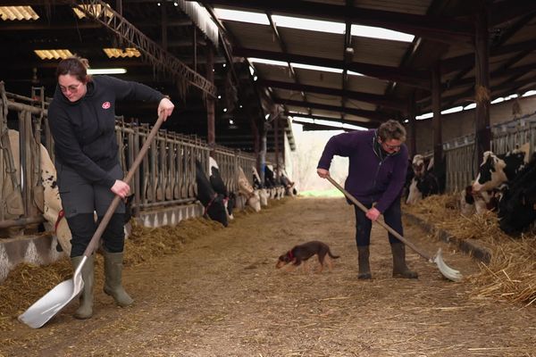 Conjointes et agricultrices, les femmes sont les soutiens essentiels des agriculteurs.