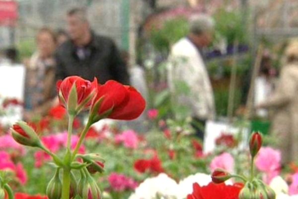 Les jardineries retrouvent enfin leur clientèle.