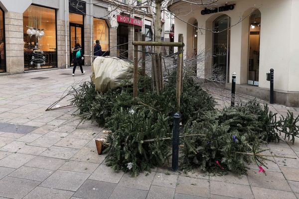 Passé Nöel les sapins deviennent encombrants qu'en faire ? 