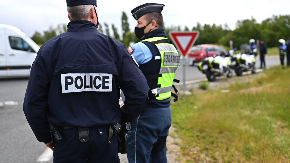 Sécurité routière : les faux-permis de conduire en recrudescence dans la  Loire