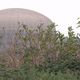 Depuis 2004, la centrale nucléaire de Paluel (Seine-Maritime) dispose d'une zone naturelle classée