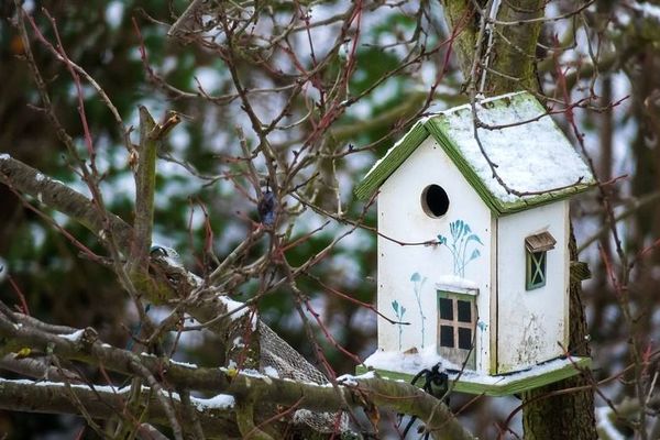 Quel temps fera-t-il pour ce week-end d’hiver ?