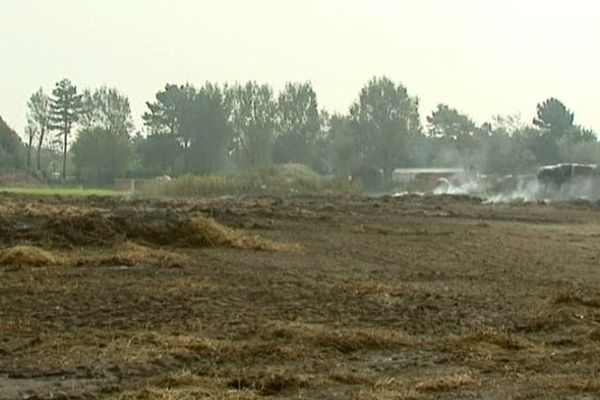 2 000 ballots de paille sont partis en fumée 